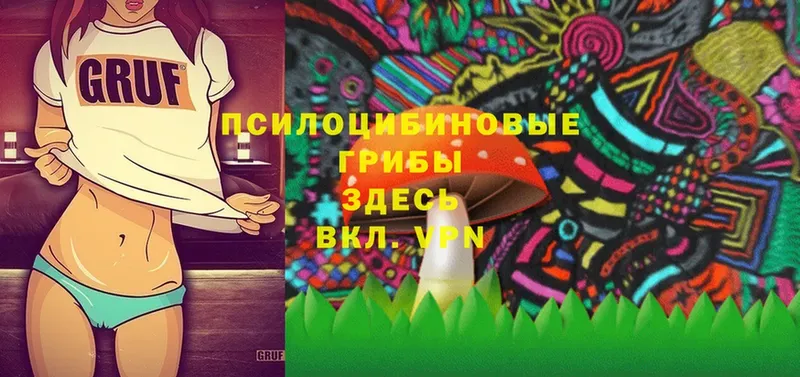 Псилоцибиновые грибы Magic Shrooms  закладки  даркнет Telegram  Тюкалинск  гидра ссылка 